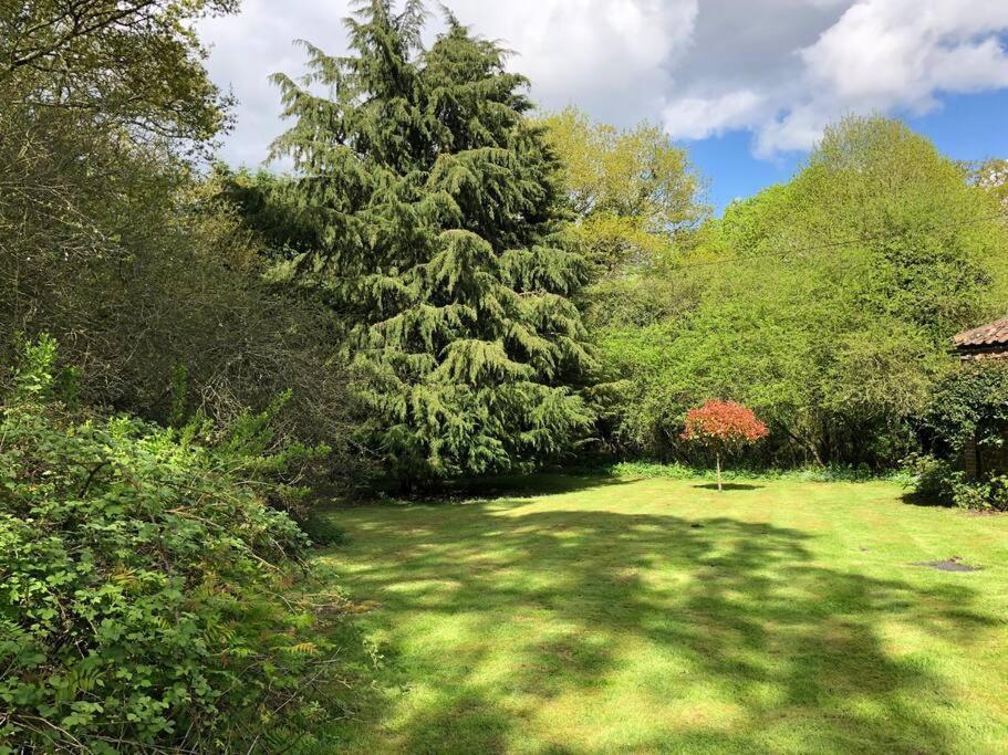 Forestry Cottage. Hot Tub, Open Fire, Dog Friendly Gaywood المظهر الخارجي الصورة