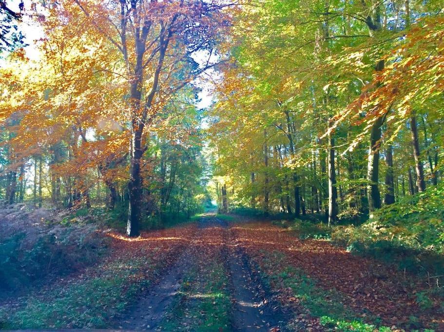 Forestry Cottage. Hot Tub, Open Fire, Dog Friendly Gaywood المظهر الخارجي الصورة