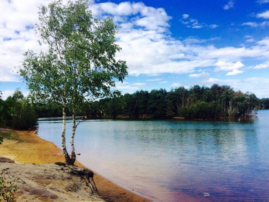 Forestry Cottage. Hot Tub, Open Fire, Dog Friendly Gaywood المظهر الخارجي الصورة