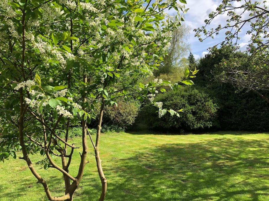 Forestry Cottage. Hot Tub, Open Fire, Dog Friendly Gaywood المظهر الخارجي الصورة