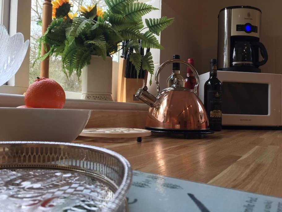 Forestry Cottage. Hot Tub, Open Fire, Dog Friendly Gaywood المظهر الخارجي الصورة