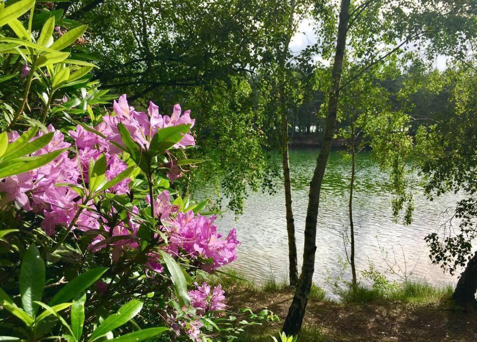 Forestry Cottage. Hot Tub, Open Fire, Dog Friendly Gaywood المظهر الخارجي الصورة