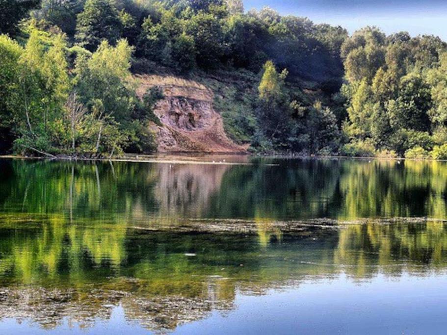Forestry Cottage. Hot Tub, Open Fire, Dog Friendly Gaywood المظهر الخارجي الصورة