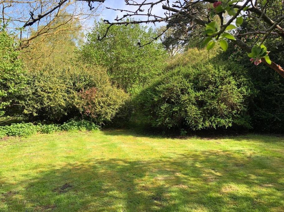 Forestry Cottage. Hot Tub, Open Fire, Dog Friendly Gaywood المظهر الخارجي الصورة