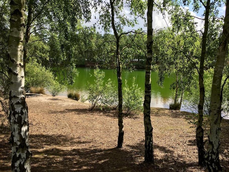 Forestry Cottage. Hot Tub, Open Fire, Dog Friendly Gaywood المظهر الخارجي الصورة
