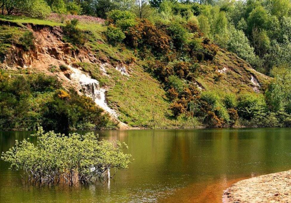 Forestry Cottage. Hot Tub, Open Fire, Dog Friendly Gaywood المظهر الخارجي الصورة